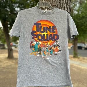 Vintage Delta Pro Weight Gray Tee with Tune Squad Graphic